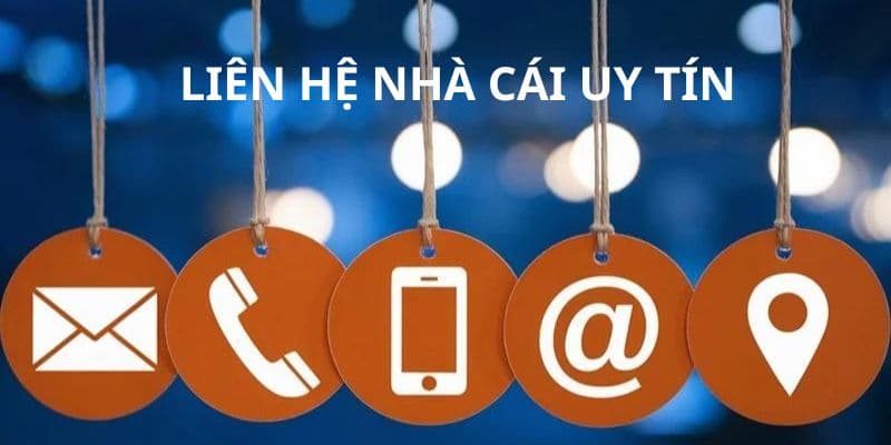 Các kênh liên hệ phổ biến giúp xử lý nhanh tình huống