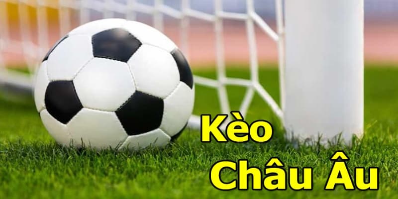 Cách đọc và phân tích tỷ lệ kèo châu Âu chính xác tại nhà cái