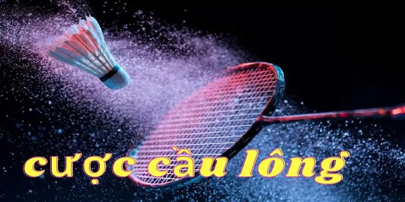Cách nâng cao kỹ năng phân tích kèo trong cá cược cầu lông