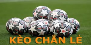 Khám phá chi tiết về kèo chẵn lẻ và lý do vì sao nó được ưa chuộng