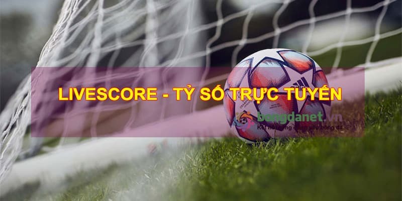 Những lưu ý khi sử dụng Livescore xem bóng đá