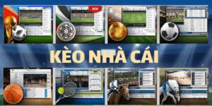Những thuật ngữ phổ biến trong dự đoán kèo nhà cái 5 cần biết