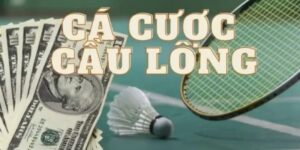 Vì sao cá cược cầu lông đòi hỏi kỹ năng phân tích chiến thuật